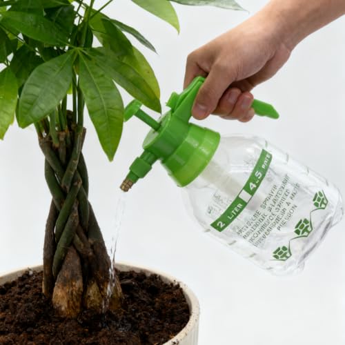 2L Garden Sprayer,Pressure Spray Bottle,Hand Pump Sprayer (2L Green) - color: 2L Green