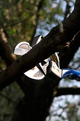 Professional Double-Cut Pruners, M/L