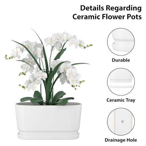 13" Rectangular Ceramic Planter with Drainage and Saucer, White - color: Matte White, size: Large