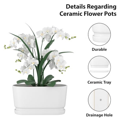 13" Rectangular Ceramic Planter with Drainage and Saucer, White - color: Matte White, size: Large