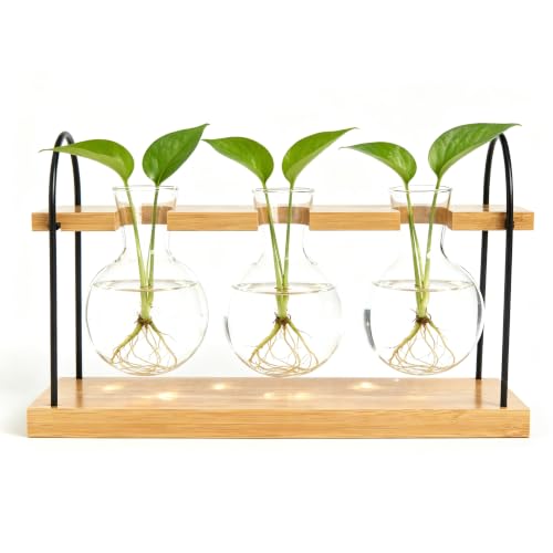 Plant Propagation Station with Bamboo Stand 3 Bulb Glass Vase Plant Terrarium, Hydroponic Planter for Desk & Office Decor, Gardening Gifts for Women Plant Lovers, Care Guide Included