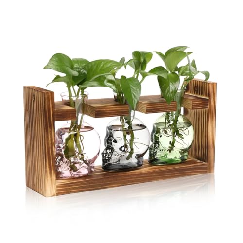 Plant Terrarium Propagation Stations Skull Planter Vase Skulls Decor - color: Grey Green Pink