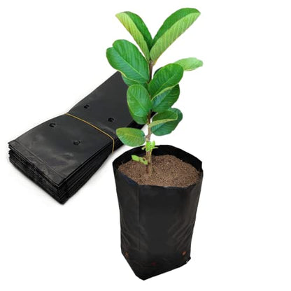 Belit Nursery Growing Bags, 100 Pcs Black Plastic Seedling Pots for Gardening Seed Plant Bags, Fruit Tree Seedling, Starting saplings(7"x8.7") - size: 7.0"x8.7"