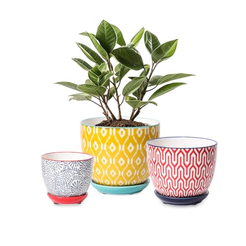 Selamica Ceramic Plant Pots, Indoor Flower Pots for Indoor Plants, 3.5+4.6+5.5 Planters with Drainage Hole & Saucer, Set of 3, Home Decor, Assorted Colors - color: Assorted Colors, size: 3.5+4.6+5.5 Inch