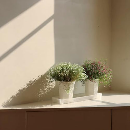 8 Pack 6.10 Inch White Plastic Deep Nursery Pot and Seedling Planter for Succulent, Cutting, Transplanting - color: White, size: 6.10 inch