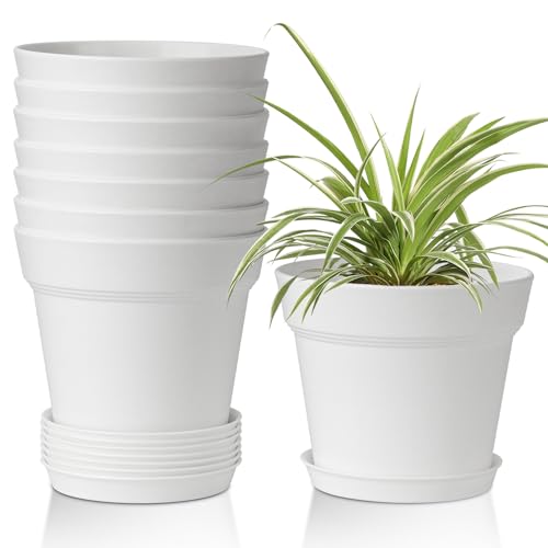 T4U Plant Pots Indoor 6 Inch 8 Pack, Plastic Flower Pots with Saucer White - color: White, size: 6 inch