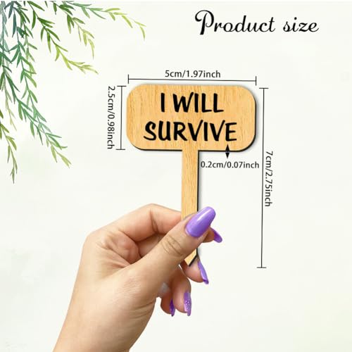 arricraft 15 Pcs Wood T-Type Plant Tags, 1.96x2.75inch/5x7cm Plant Labels with Growing Words Talking Plant Funny Wooden Plant Sign for Garden Markers Nursery Seedling Potted Herb Flower Vegetables - color: Funny Plant Labels-f