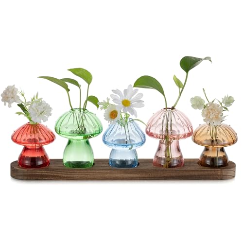Glasseam Mushroom Glass Plant Propagation Station with Wooden Stand 5Pcs - color: Multicolor, size: 5Pcs