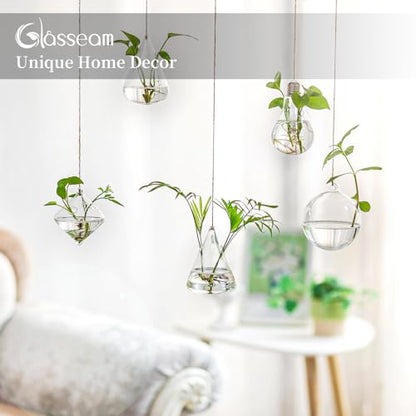 Glasseam Hanging Plant Propagation Station: 5Pcs Small Glass Terrarium Jars