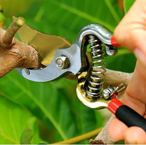Garden Guru Indestructible Titanium Garden Clippers Professional Bypass Hand Pruner Pruning Shear with Comfort Grip Handles for Gardening Trimming and Yard Work Hardened Steel & Titanium Blade(2 Pack) - size: 2 Pack, style: Titanium Bypass