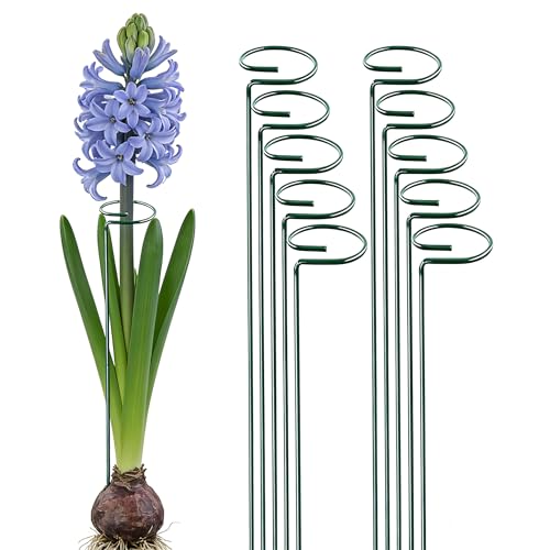 10 Pieces 16 inch Green Single Stem Plant Stakes Garden Plant Support Rings Flower Support Hoops Prop for Amaryllis Orchid Lily Rose Peony Gladiolus Stakes - color: Green-16-inch 10pack