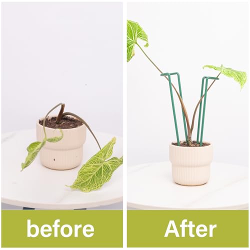 Indoor Plant Stakes 8.7" Durable 10Pcs for Monstera & Potted Plants - color: Green, size: 8.7 Inch H