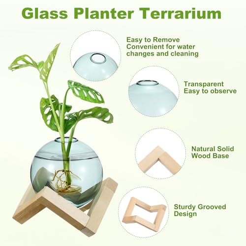 M METERXITY 2 Pack Glass Planter Terrarium with Wooden Stand, Desktop Plant Propagation Station Bulb Vase for Hydroponic Plants Propagation/Home Garden Decor/Plant Lover [Green] - color: Green