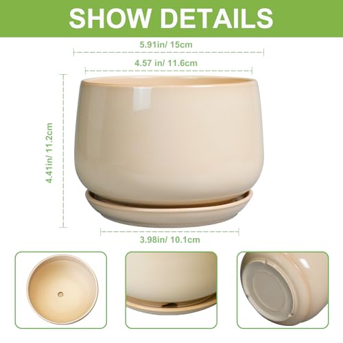 G EPGardening Ceramic Pot for Plants, 6 Inch Planter with Drainage, Beige - color: Beige, size: 5 Inch
