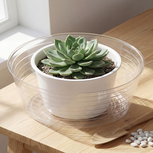 Hoolerry 15 Pcs Plastic Plant Saucer Clear Deep Tray, 14 Inch - size: 14 Inch