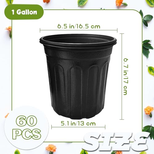 OJYUDD 60 Pack 1 Gallon Flexible Plant Nursery Pots,Thickened Soft Plastic Seed Starting Pots,Plastic Plant Container with Hole for Flower Seedling,Succulents,Cuttings,Transplanting(Black) - size: 60 Pack 1 Gallon