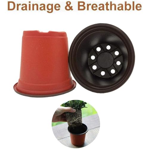 Baaxxango 100 Pcs 3.5 Inch Plastic Seedlings Plants,Nursery Pots,Seed Starting Pot for Succulents, Seedlings, Cuttings, Transplanting - size: 100 Pcs 3.5 Inch