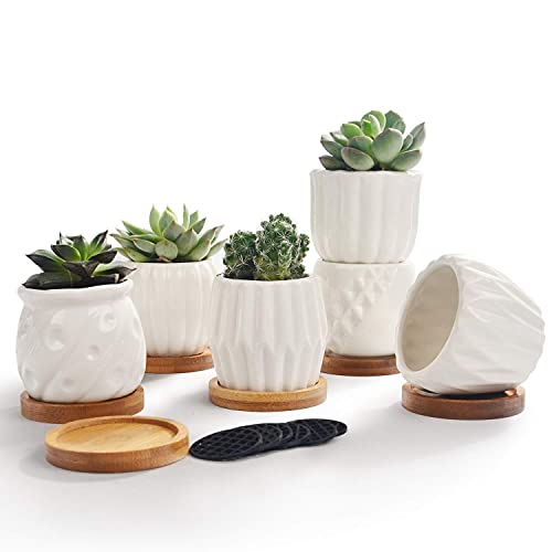 B SEPOR Set of 6 White Simple Porcelain Planters for Small Plant Pots Baby Succulent Cactus with Drainage and Saucer for Home Office Decoration Gift(White Stripes) - color: White Stripes