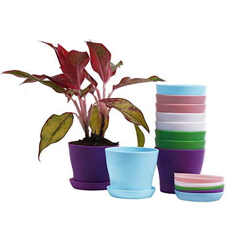 TDHDIKE 10 Pcs Plastic Planters Indoor Pots with Pallet - color: Pink / White / Purple / Blue / Green