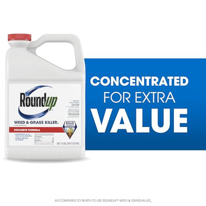 Roundup Weed & Grass Killer4 Concentrate, 2.5 gal. - size: 2.5 gal. Conentrate