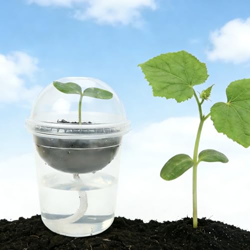 ORIMERC 15 Set Nursery Pots with Humidity Dome, Clear Nursery Pots with Drainage, Self Watering Small Plant Pots, Seedling Pots for Plants, Seed Starter Pots for Planting Vegetables Fruit (Thick)