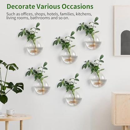 Wall Propagation Planter 6 Pack Glass Wall Planter Oblate Hanging Terrarium
