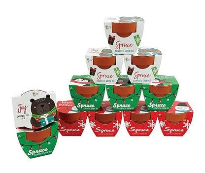 BUZZY Seeds Holiday Spruce Grow Kit 12-Pack, Terracotta Pots, Tree Gift - color: 12pk Holiday Spruce