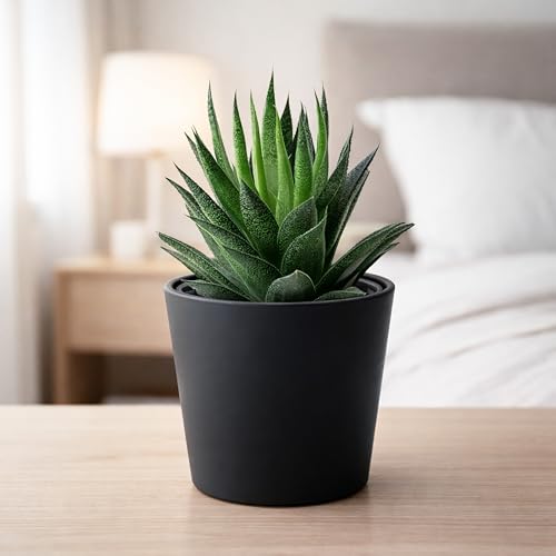 Phoenix Vine 4.5 Inch Black Plastic Cachepot with Clear Nursery Pot, Decorative Lightweight Planter Cover with Transparent Inner Pot for Indoor Houseplants, Pack of 4, 24-B-E-4 - color: Matte Black, size: 4.5" (4 Pack)