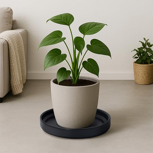D'vine Dev Ceramic Plant Saucer/Drainage Tray, 10.4 in, Black, 97-T-B-5 - color: Black, size: 10.4" (1 Pack)