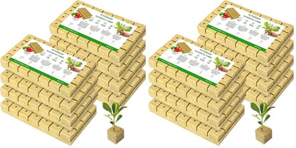 VIVOSUN 1.6 Inch Rockwool Cubes, Grow Cubes for Hydroponics, Cuttings, Cloning, Plant Propagation, Seed Startling, 8 Sheets 224 Plugs (Pack of 2) - size: 1.6"-224 Plugs (Pack of 2)