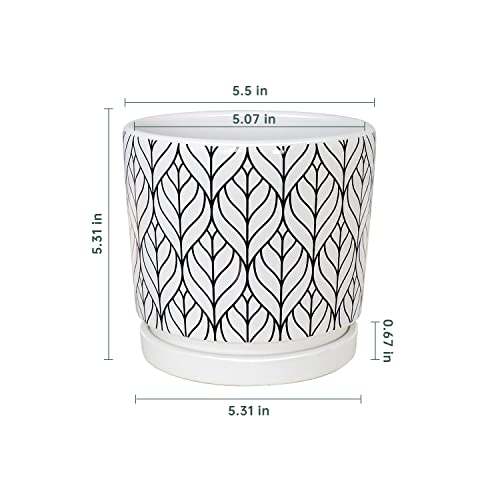 Plant Pots,5.5 Inch White Pots for Indoor Plant with Drainage Hole Set of 4 - color: White