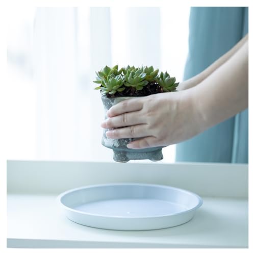 6 Pack 8 Inch White Plant Saucers Plastic Drip Trays for Pots - color: White, size: 8 Inch