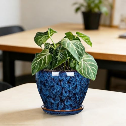 Hollyone Ceramic Planter Blue Ceramic Plant Pot for Plants Flowers 5.5 inch with Drainage Hole and Saucers Ceramic Glaze Round Flower Plant Pot for Indoor Outdoor Round Succulent Orchid Flower Pot - size: 5.5 Inch (Single)