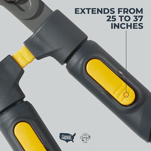 Woodland Tools Heavy Duty Extendable Lopper – 25 to 37 Inch Telescoping Branch Cutter with Lever-Action Bypass Blade – Manual Tree Limb Cutter for Thick Branches and Overhead Trimming - style: Heavy Duty Extendable Lopper