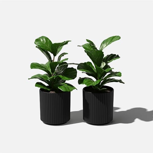 Veradek Demi Series Planter - Large Round Outdoor Planter - color: Black, size: 12 inch - 2 Pack