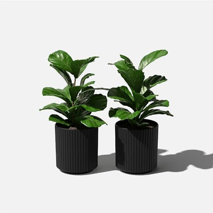 Veradek Demi Series Planter - Large Round Outdoor Planter - color: Black, size: 12 inch - 2 Pack