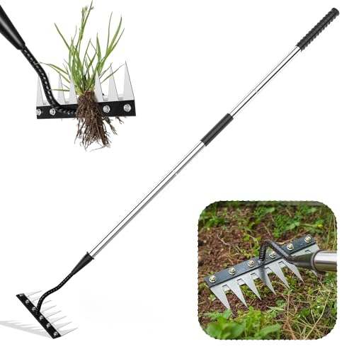 Iron Weeding Rake with Long Handle, 8-Tine Heavy Duty Garden Tool for Lawn - color: Silver