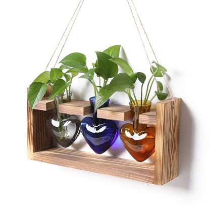 Plant Terrarium Propagation Stations Hydroponics - color: Color 3
