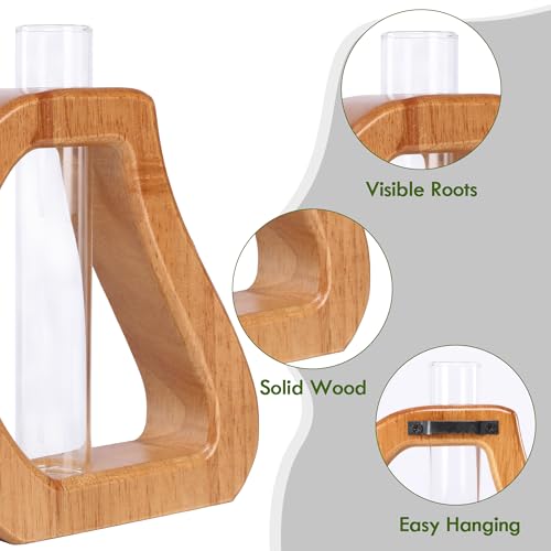 Glass Test Tube Plant Propagation Terrarium Station - size: 5.3*5.6IN