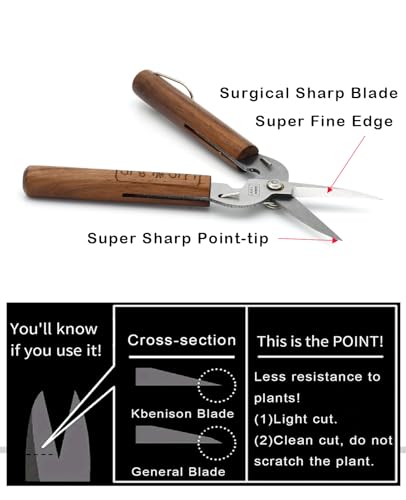 Razor Sharp Pruning Shears for Gardening, Garden Shears Carbon Steel Blade, Precision garden scissors Walnut Wood handle, 6.8” Garden Snips for Trimming Fruits, Vegetables, Flowers, Buds, Bonsai