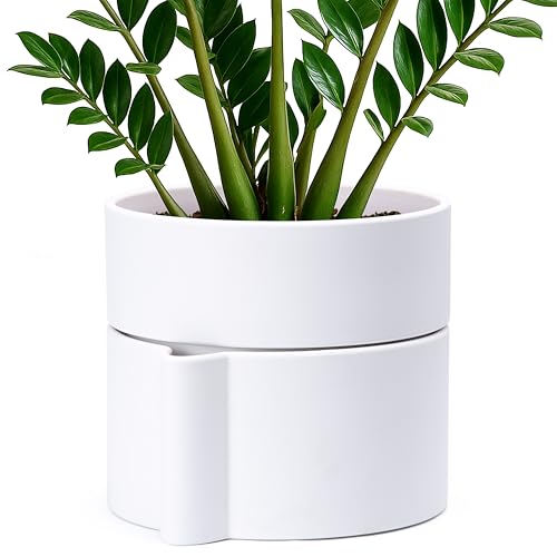 Phoenix Vine 8 Inch Self-Watering Planter Pot with Terracotta Insert, Deep Water Reservoir, and Ceramic-Alike BPA-Free Plastic Planter Pot for Plant, Modern Planter for Houseplants, White, 53-A-T-1 - color: White, size: 8 Inch