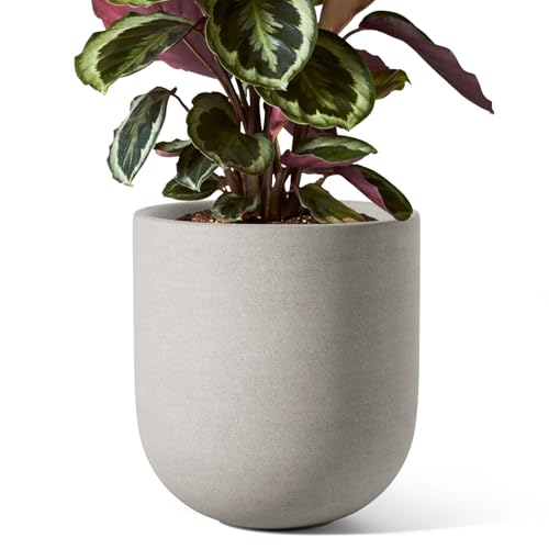 LE TAUCI 8 Inch Ceramic Plant Pot, Indoor Planter, Neutral Gray - color: Neutral Gray, size: 8“