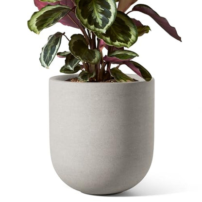 LE TAUCI 8 Inch Ceramic Plant Pot, Indoor Planter, Neutral Gray - color: Neutral Gray, size: 8“