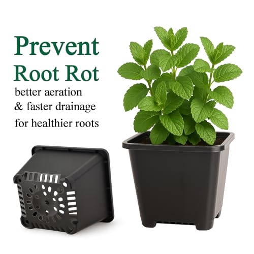 25 Packs Square Nursery Pots for Plants 3.5 Inch Seedling Pots with Holes - size: 3.5 Inch