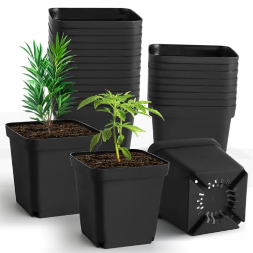 RooTrimmer Square Nursery Pots 5.5 Inch, Plastic Plant Pot with Drainage Holes, 30 Pcs Reusable Seedling Starter Pots Garden Flower Pots Planters for Indoor Plants, Transplanting, Succulents, Cuttings - color: Black, size: 5.5 Inch - 30pk