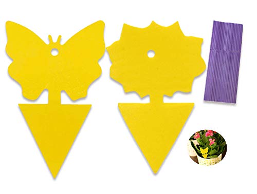12 Pack Yellow Sticky Bugs Traps for Indoor/Outdoor Use, Gnat Trap for Flying Plant Insect Such as Fungus Gnats, Whiteflies, Aphids, Fruit Fly, Leafminers- Disposable Glue Trappers
