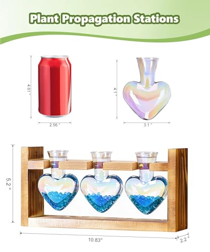 Nacome Plant Terrarium with Wooden Stand, 3 Heart Bulb Glass Vases - color: Iridescent Clear