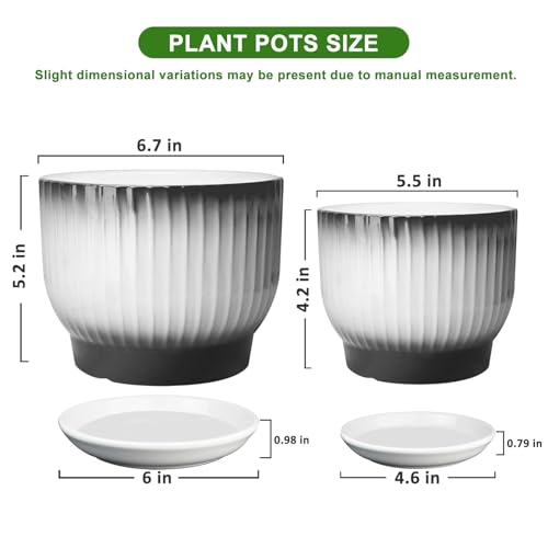 6.7 + 5.5 Inch Ceramic Plant Pots, Set of 2, Black + White - color: Black + White