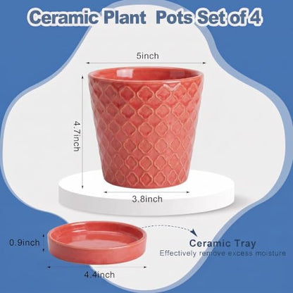 EFISPSS Ceramic Plant Pots, 5 Inch Planters with Drainage Holes and Ceramic Tray, Relief Design Flower Planter, Desktop Office Windowsill Decoration Gift Set of 4 - Magenta - color: Magenta
