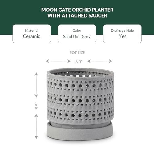 LE Beau Ceramic Moon Gate Orchid Planter with Attached Saucer - Sand (Sand Dim Grey, 6.0" D x 5.5" H (Single Pot)) - color: Sand Dim Grey, size: 6.0" D x 5.5" H (Single Pot)
